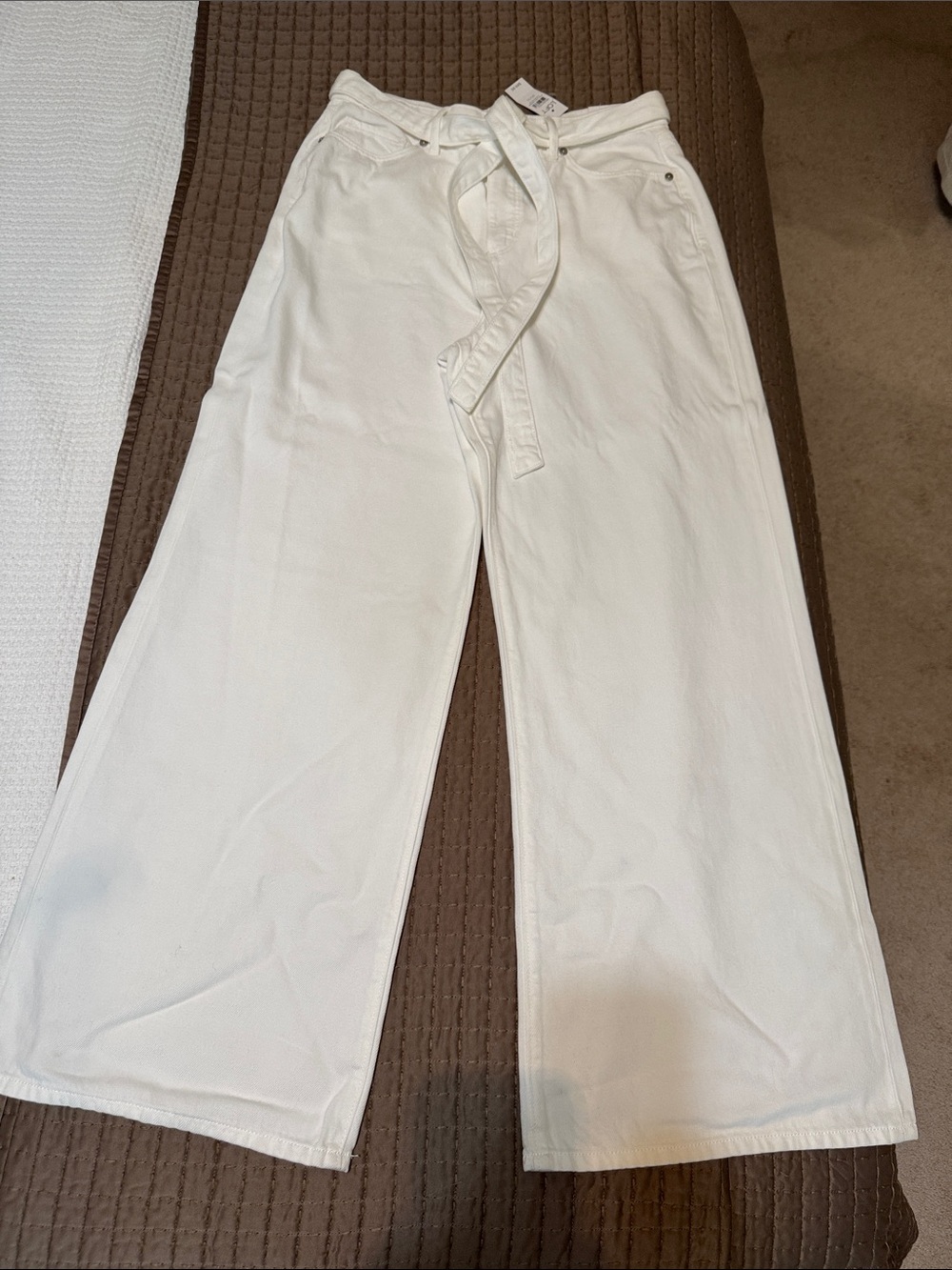 LOFT Wide-Leg Palazzo Tie-Waist Jeans size 30 / 10